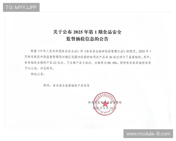 尊龙集团网页版登录官网入口：官方登录入口的最新公告与安全提醒