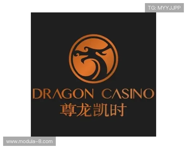 尊龙凯时官方下载入口提供最新版本下载指南与安全保障措施