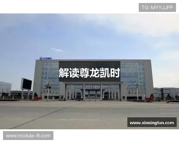 揭秘尊龙凯时集团官网的后台支持及技术创新