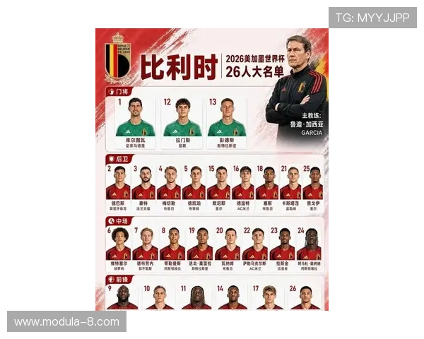 2026年比利时对阵埃及比赛的全部球员名单及关键球员表现预测